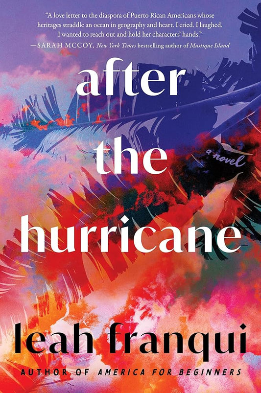 After the Hurricane: A Novel cover image