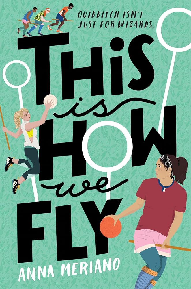 This Is How We Fly cover image