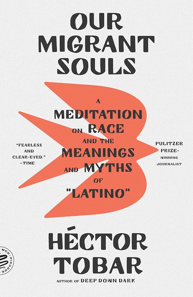Our Migrant Souls cover image