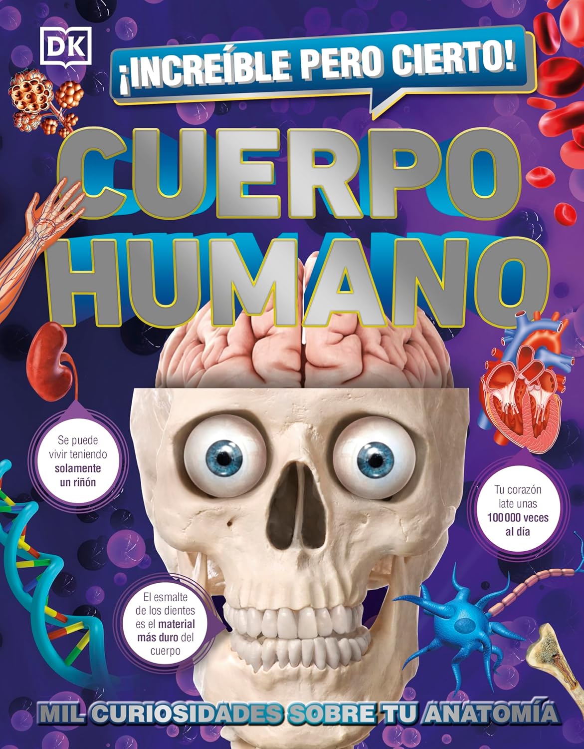 The book cover of ¡Increíble pero cierto! Cuerpo Humano showcases an illustrated skull with an exposed brain, vibrant 3D organ illustrations, and intriguing facts about the human immune system.